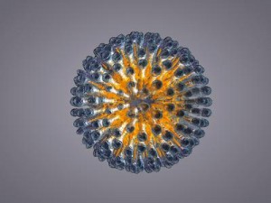 Herpes-Virus gefunden auf: https://www.herpes-lindern.de/